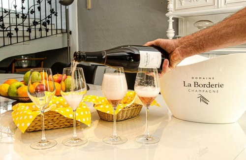 Bar-sur-Seine Casa | Gîte Bar-sur-Seine, 6 pièces, 14 personnes - FR-1-543-132