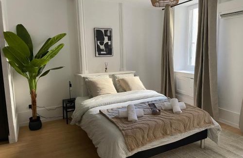 Aubenas Apartamento | Grand appart haussmannien au centre Aubenas