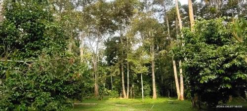 Baling District Casa | SRI MALAU