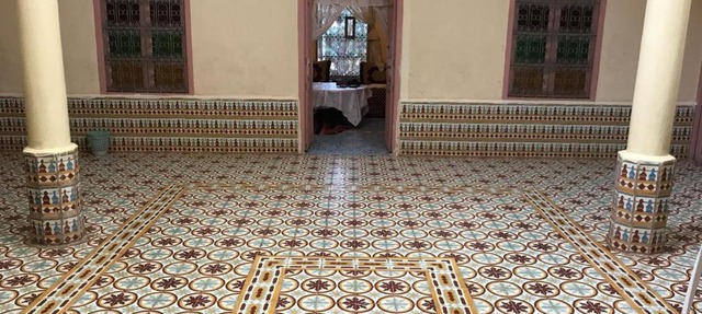 Écologie oasis tafilalt CHEZ L' HABITANT