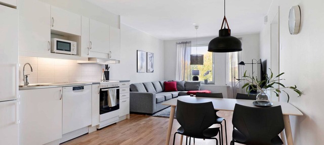 1BR Corporate Comfort