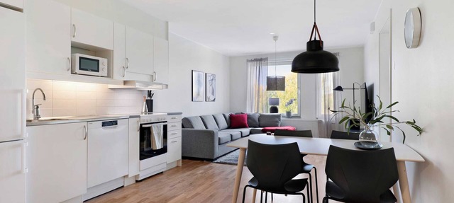 1BR Corporate Suite S