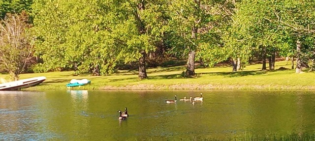 2-Bedroom Tiny Home with full kitchen, laundry, wifi, and beautiful pond views