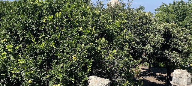 An oasis of comfort with private parking within walking distance of downtown Tropea.