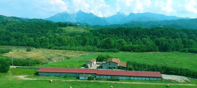 Apartamento "Il Mare" en Agriturismo La Preduscella