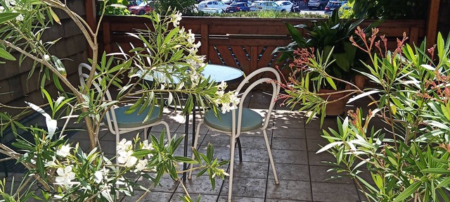 Apartamento Rooming Green w. gran terraza privada cerca del lago