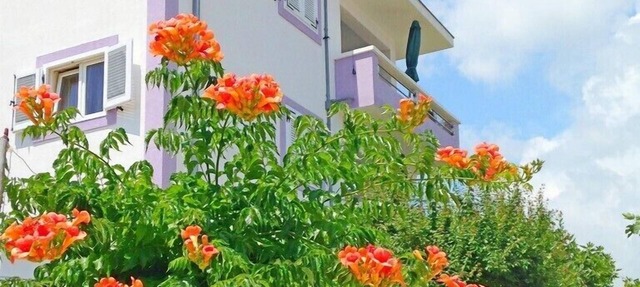 Apartments Lidija, (14587), Vinišće, riviera Trogir, Croacia