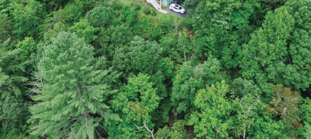 Bear Creek-Mountain views, decks that surround, and 3 creeks to discover!