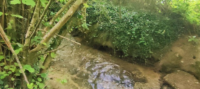 Campement Privatisé Aménagé EN Pleine Nature Près DU ZOO DE Beauval
