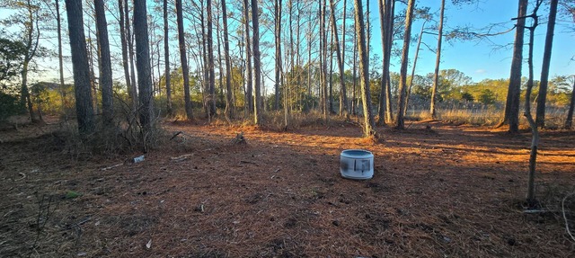Campsite #3 At Blanchard Farm