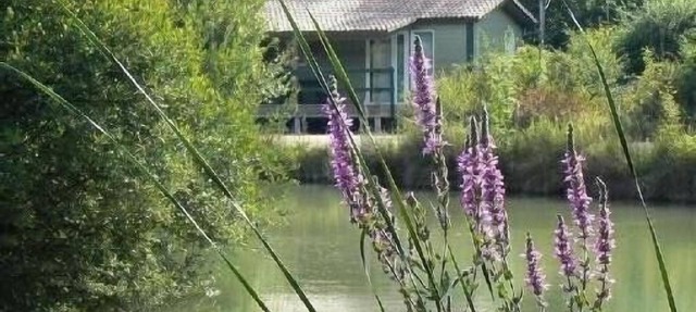 Alquiler Chalet suizo - Chef Boutonne - Poitou Charentes