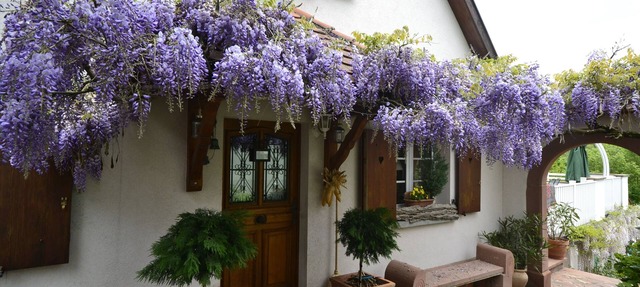 Charming house with private pool 4 ⭐️