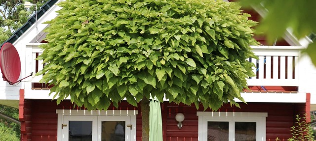 Charming vacation home, at the center of Germany for up to 8 guests.