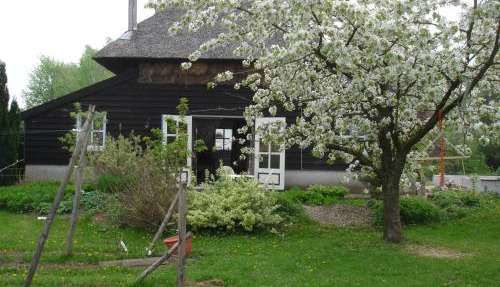 Cornucopia Cottage