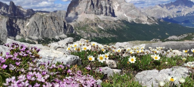 Cottage in the woods in the Dolomites.