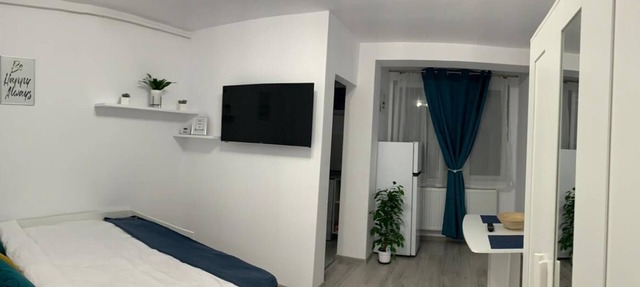 Cozy Studio Apartment Zalau