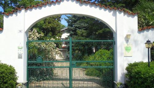 Cuore Verde
