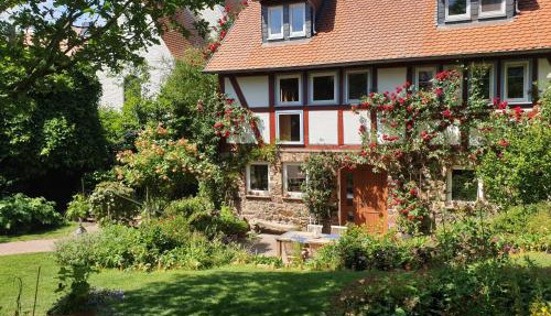 Ferienhaus Burgblick