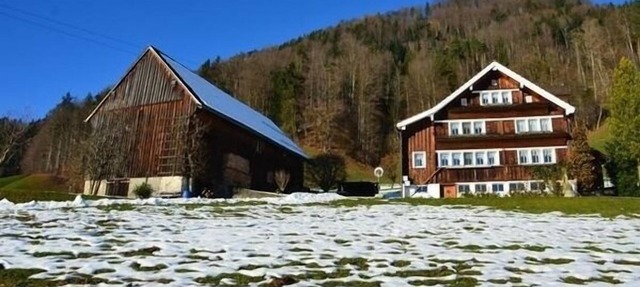 Ferienwohnung/app. für 4 Gäste mit 90m² in Brunnadern