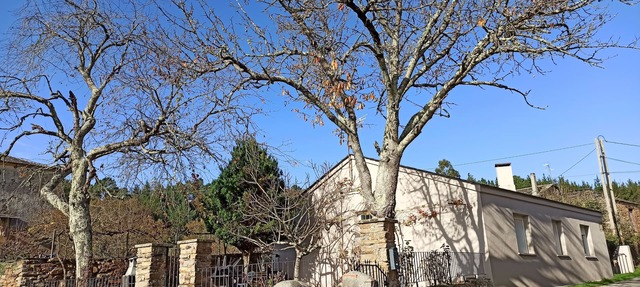 casa ferreirua