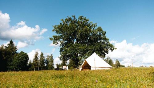 Glamping in Småland