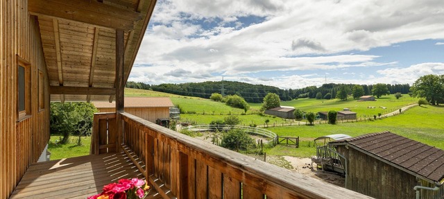 Matratzenlager 'Grün' mit gemeinsamer Terrasse & Garten, OHNE Küche