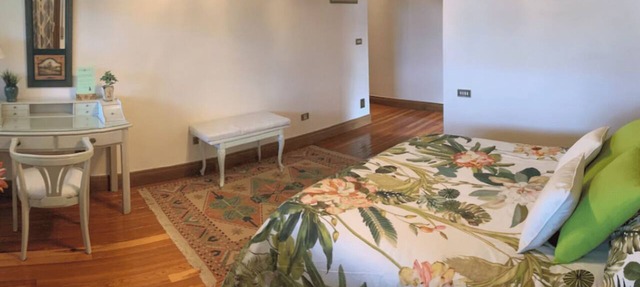 Green Suite en Basque Palace