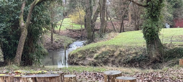 Guildford Home- River, Woodland Garden & Waterfall View, Guildford, Surrey, UK