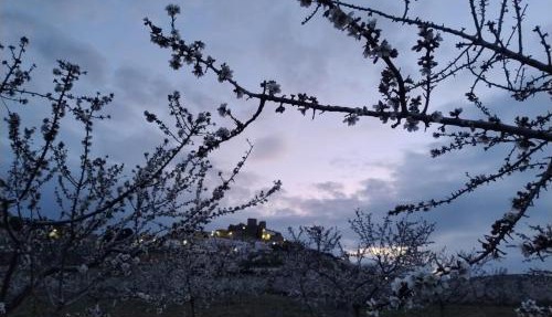 La casa del Amo , Trasmoz Y Moncayo