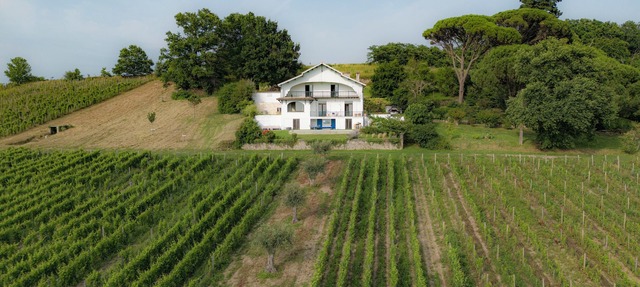 Large designer villa with swimming pool and vineyard - Bordeaux Sud