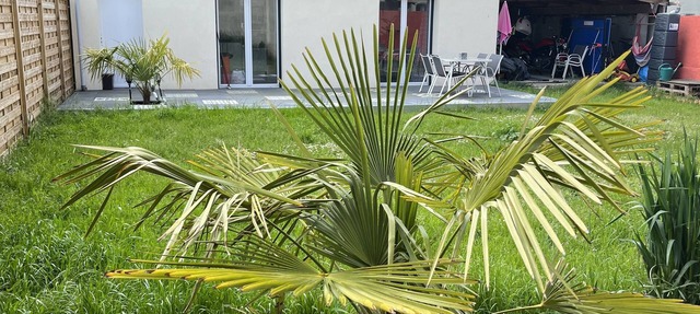 Maison au Calme Dans un Village Toutes Commodites