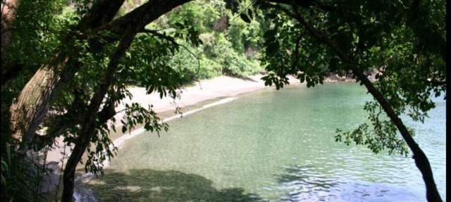 Megan's Bay Cottages-Main House (Secluded beach)