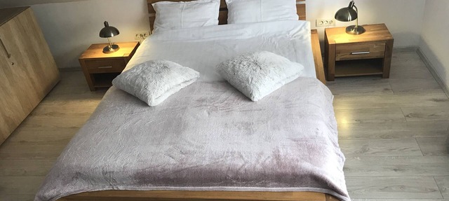 Modern Apartment in historical center, Free Parking. Pet Friendly!
