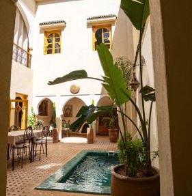 Riad Saadaoui