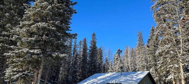 Rocky Mountain Retreat: Private 2 Acres & Hot Tub