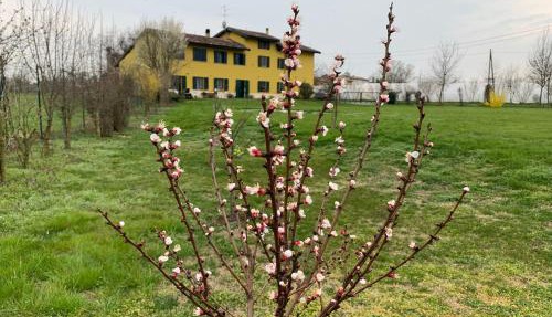 Sangiligio Countryside Villa, Private Rooms w Kitchen, Bath, Private Entrance, Crema