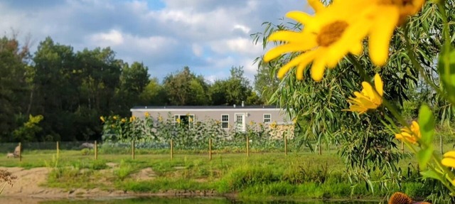 Secluded 3-bedroom Cabin style home with Pond and Wildlife, mins ofNew Hampton