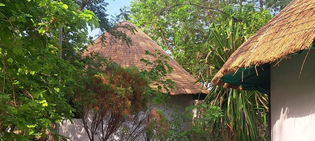 Tribal cottage 30 km. from Udaipur
