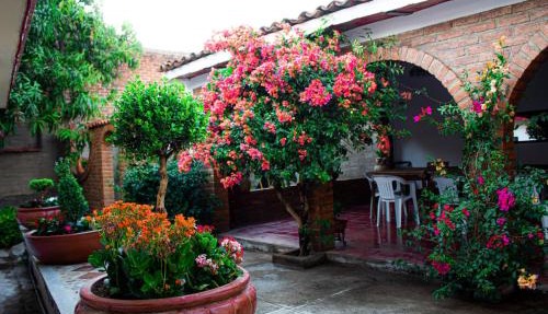 Villa Flores, Casa completa para familias