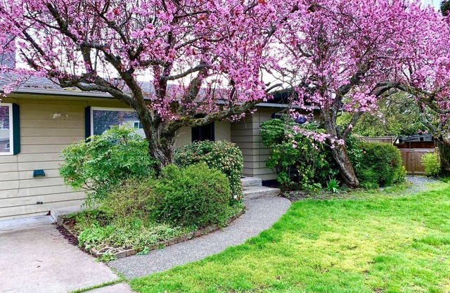 Impeccable Cleanliness Family & Pet Friendly Large Deck House Near YYJ & Ferry