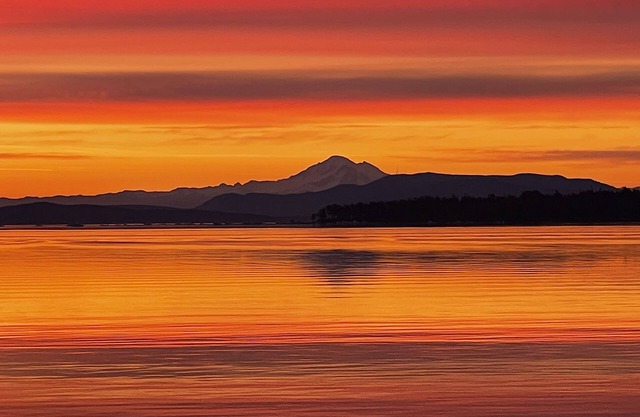 Salish Sea Beach House es el hogar de The Solaris Suite Oceanfront alojamiento!