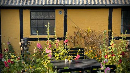 Dyrlev Bed & Breakfast
