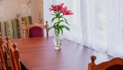 Guest house on Vasilievskaya street